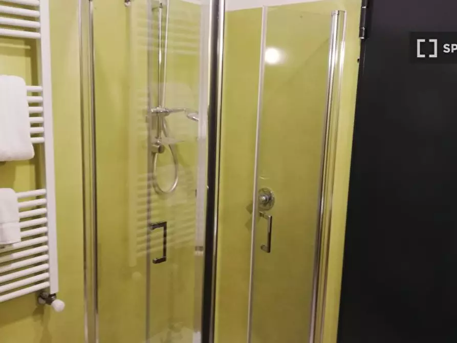 Immagine 11 di Camera condivisa in affitto  in Via Camillo Casarini a Bologna