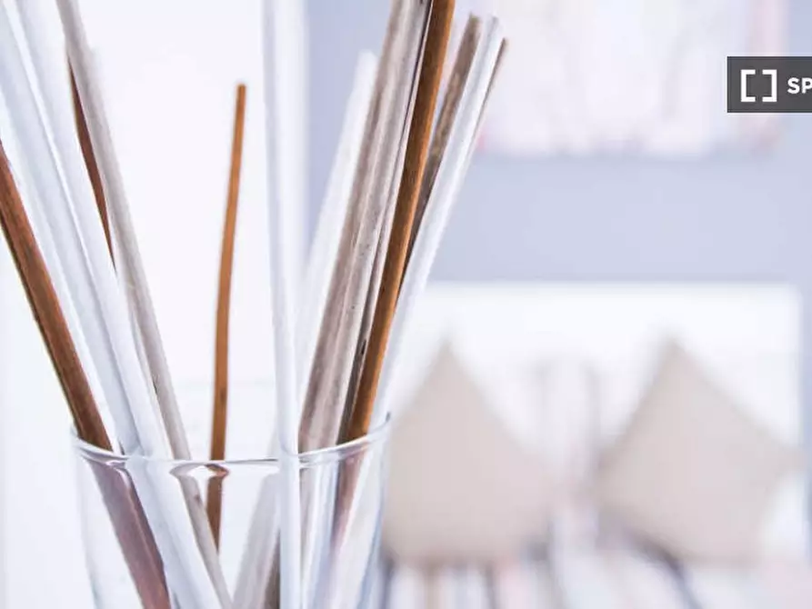 Immagine 5 di Camera condivisa in affitto  in Via Giovanni Pascoli a Milano