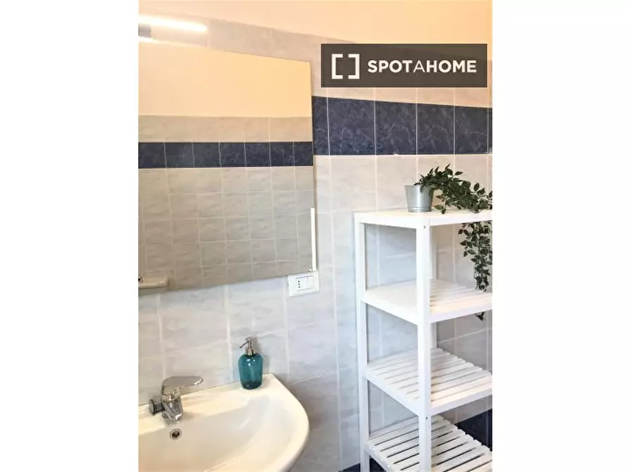 Immagine 13 di Camera condivisa in affitto  in VIA Q. SELLA (3) a Firenze