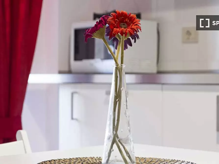 Immagine 13 di Camera condivisa in affitto  in Via Salvatore Barzilai a Milano