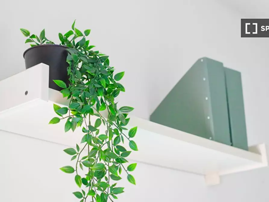 Immagine 9 di Camera condivisa in affitto  in Via Adeodato Ressi a Milano