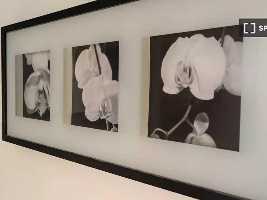 Immagine 16 di Appartamento in affitto  in Via Riva di Reno a Bologna