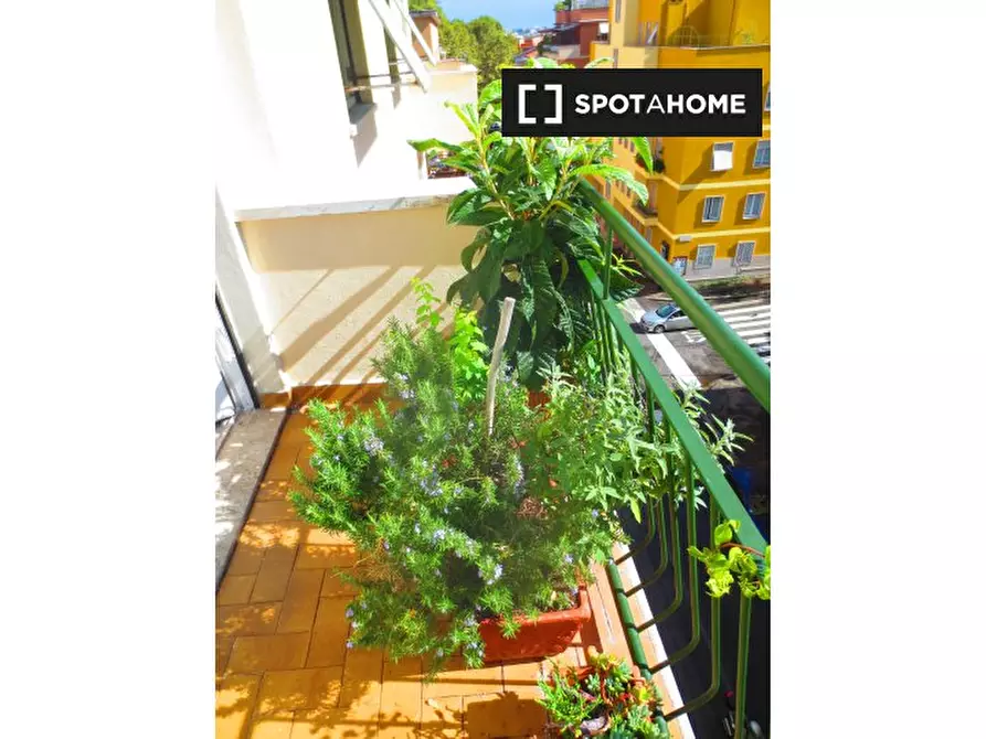 Immagine 9 di Camera condivisa in affitto  in Via Appiano a Roma