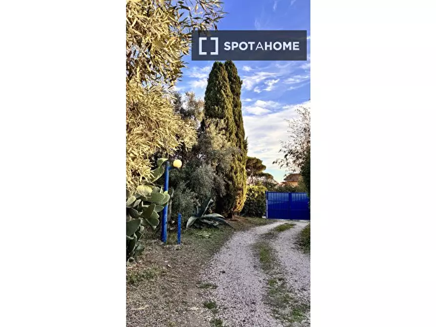 Immagine 1 di Appartamento in affitto  in Via Michele Lessona a Roma