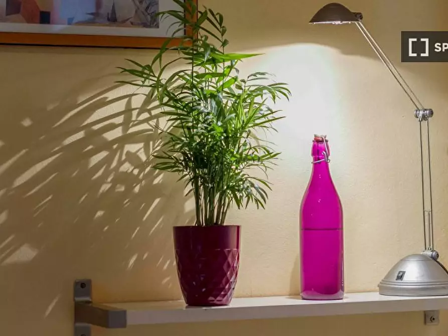 Immagine 4 di Appartamento in affitto  in Via Domenico Cimarosa a Firenze