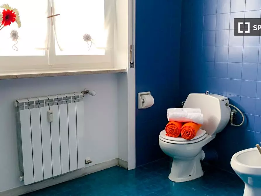 Immagine 11 di Camera condivisa in affitto  in Corso Massimo d'Azeglio n. Scala H a Torino