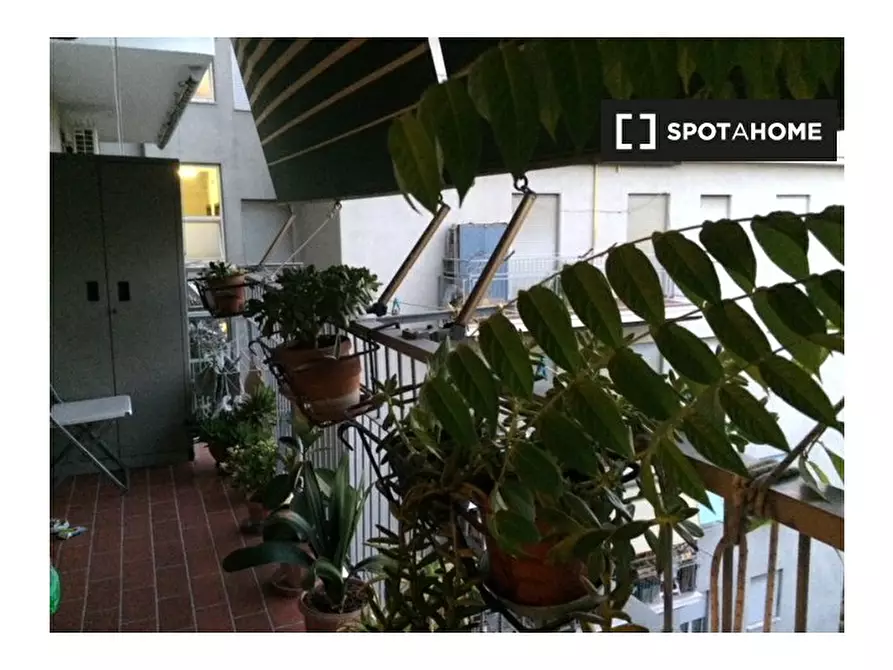 Immagine 7 di Camera condivisa in affitto  in Viale Furio Camillo, 00181 Roma RM, Italy a Roma