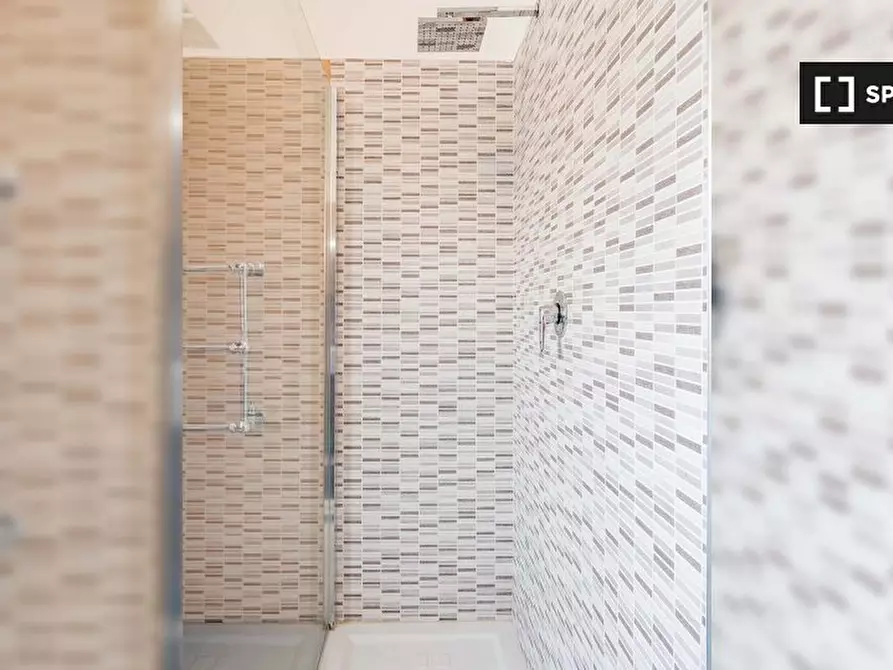 Immagine 13 di Camera condivisa in affitto  in Via Giovanni Battista Morgagni a Milano