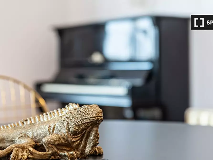 Immagine 7 di Appartamento in affitto  in Via Giovanni Battista Piranesi a Milano