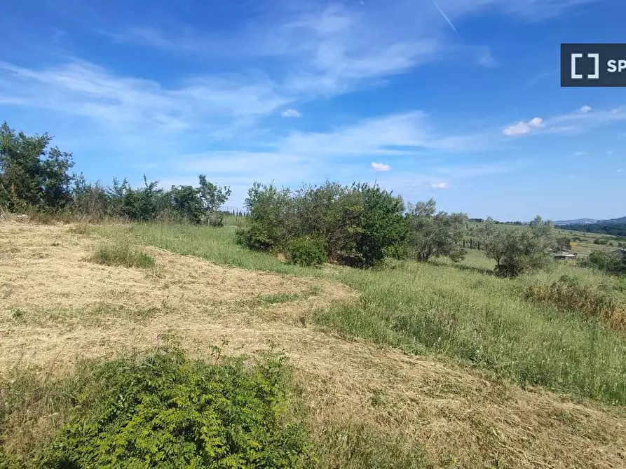 Immagine 4 di Appartamento in affitto  in Via dei Gigli a Sutri