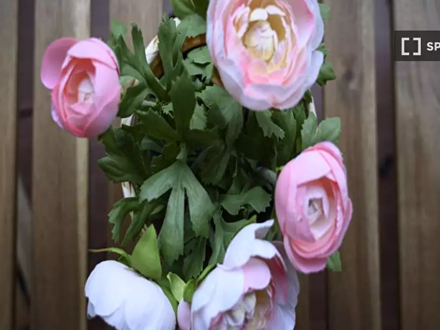 Immagine 8 di Camera condivisa in affitto  in Via Ippodromo a Milano