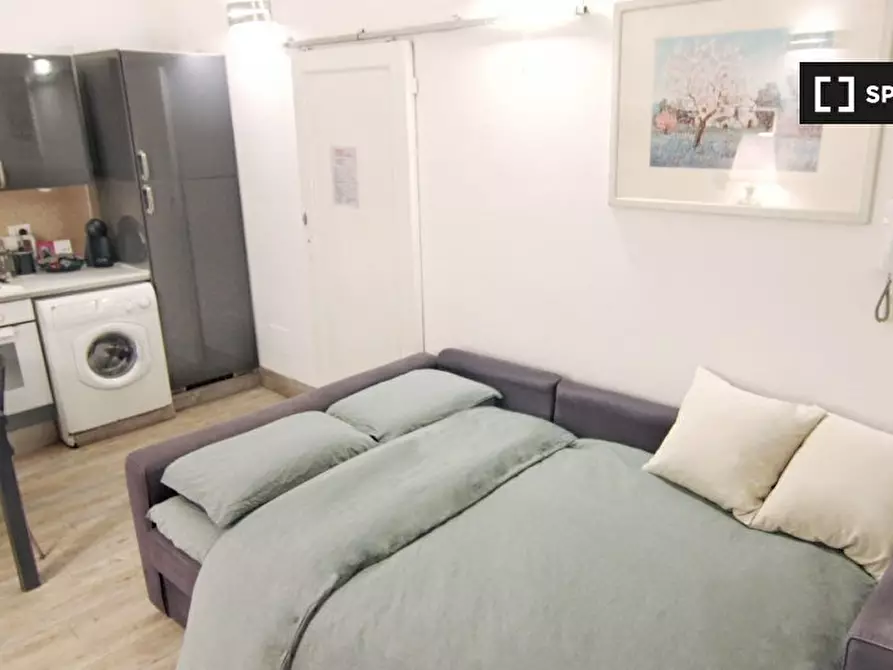 Immagine 2 di Appartamento in affitto  in Lungarno Amerigo Vespucci a Firenze