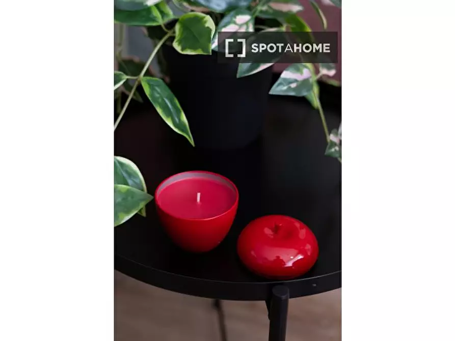 Immagine 16 di Appartamento in affitto  in Via Saluzzo a Roma