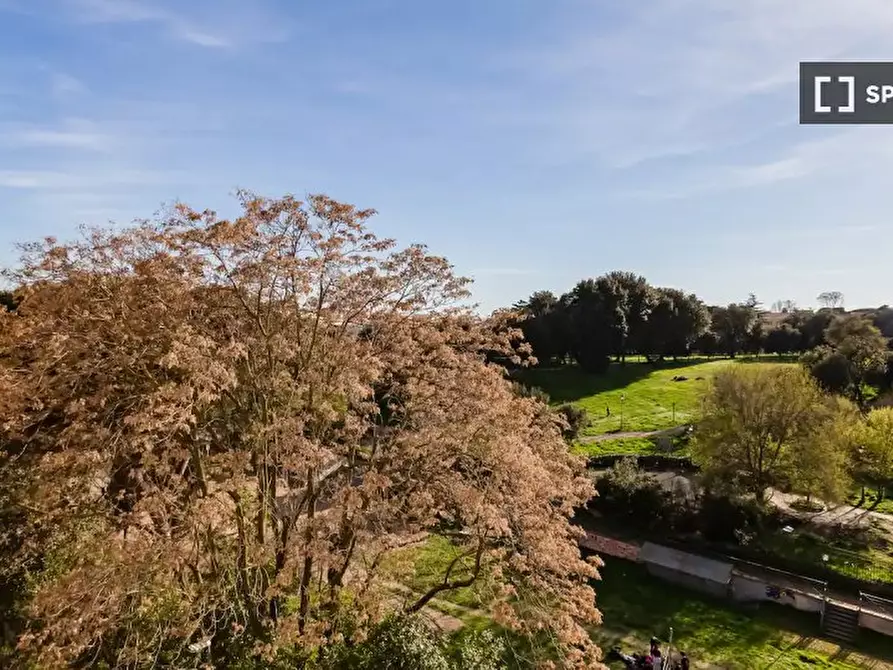 Immagine 19 di Appartamento in affitto  in Via Nicolo Piccinni a Roma