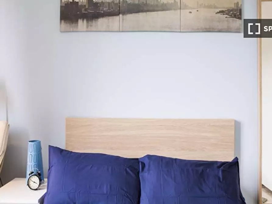 Immagine 5 di Camera condivisa in affitto  in Via Salvatore Barzilai Milan a Milano