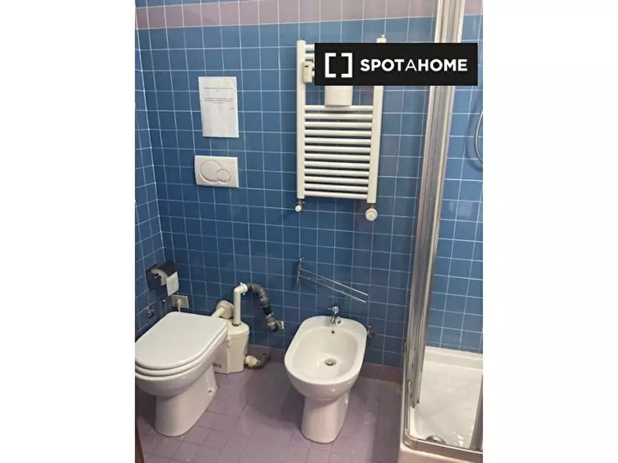Immagine 4 di Camera condivisa in affitto  in Lungotevere di Pietra Papa a Roma