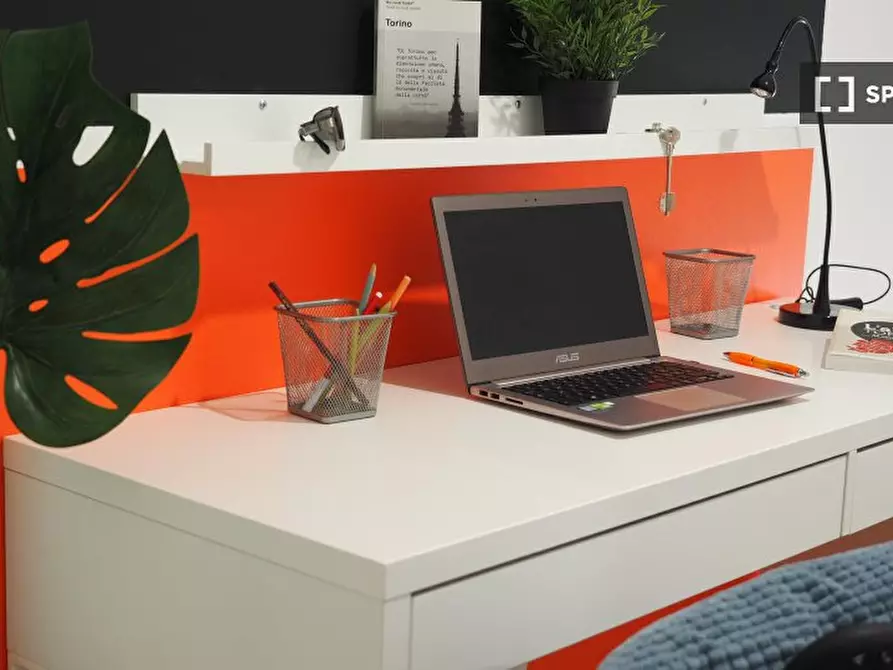 Immagine 6 di Camera condivisa in affitto  in Via Amedeo Ugolini a Torino