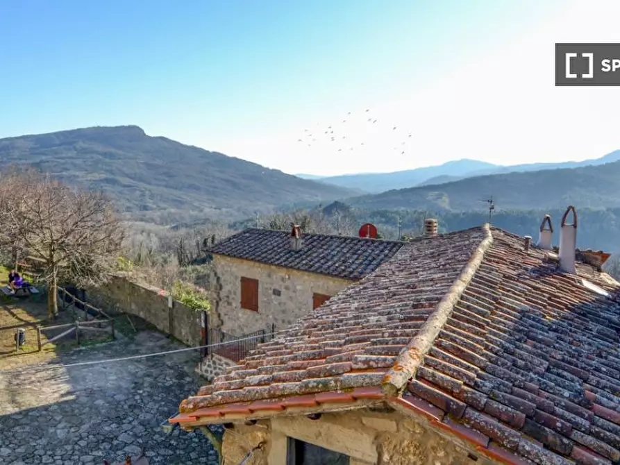 Immagine 10 di Appartamento in affitto  in Via Lunga a Santa Fiora