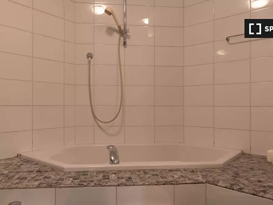 Immagine 11 di Camera condivisa in affitto  in Via Luigi Leonardo Colli a Torino