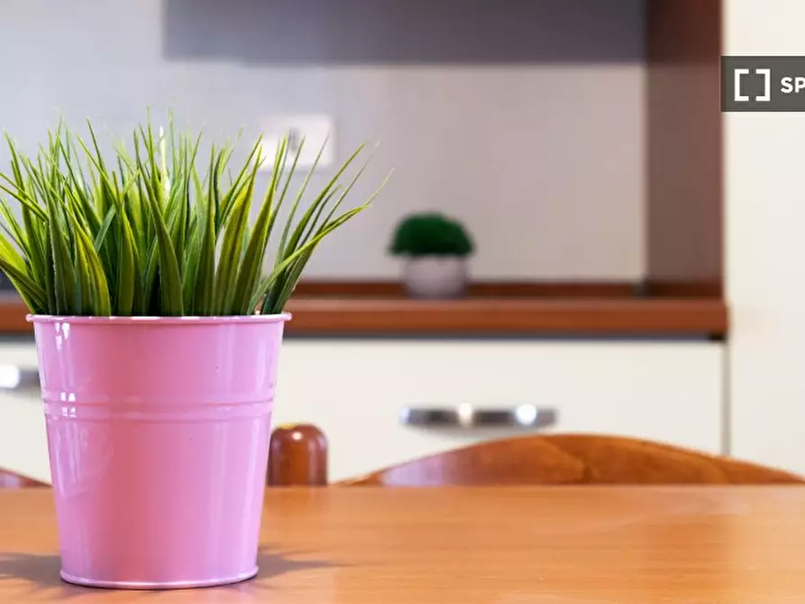 Immagine 6 di Appartamento in affitto  in Via Fratelli Galliari a Treviglio