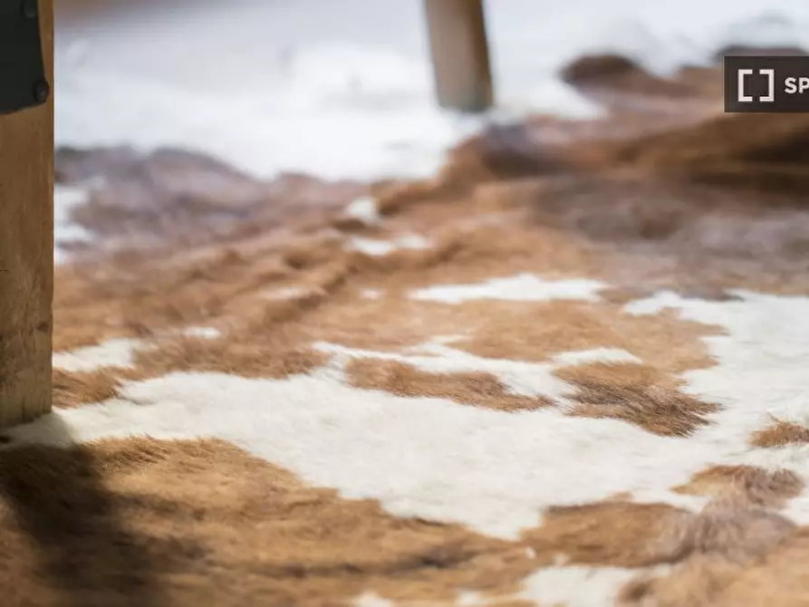 Immagine 7 di Appartamento in affitto  in Via Melzo a Milano