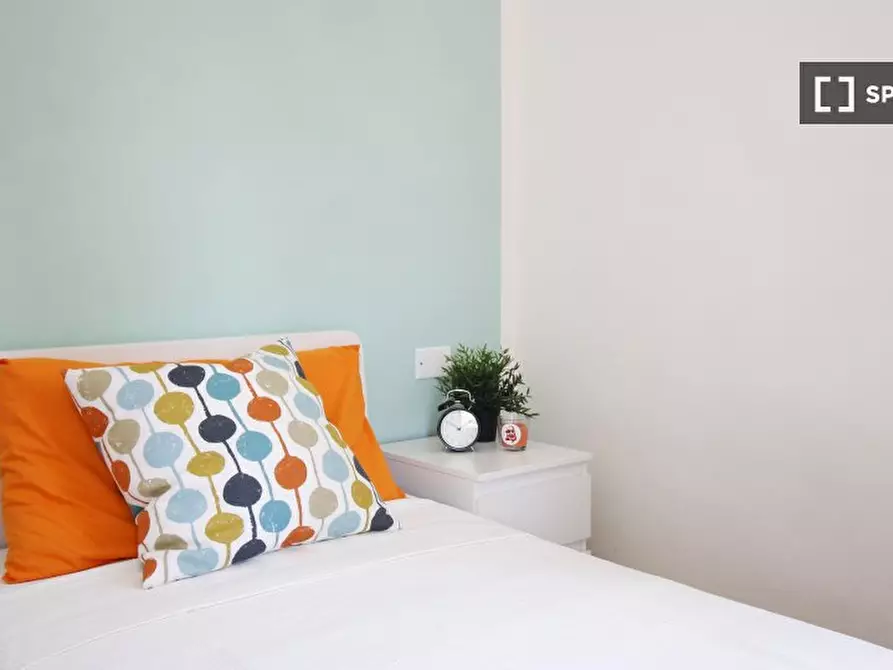 Immagine 3 di Camera condivisa in affitto  in Gorizia a Bologna