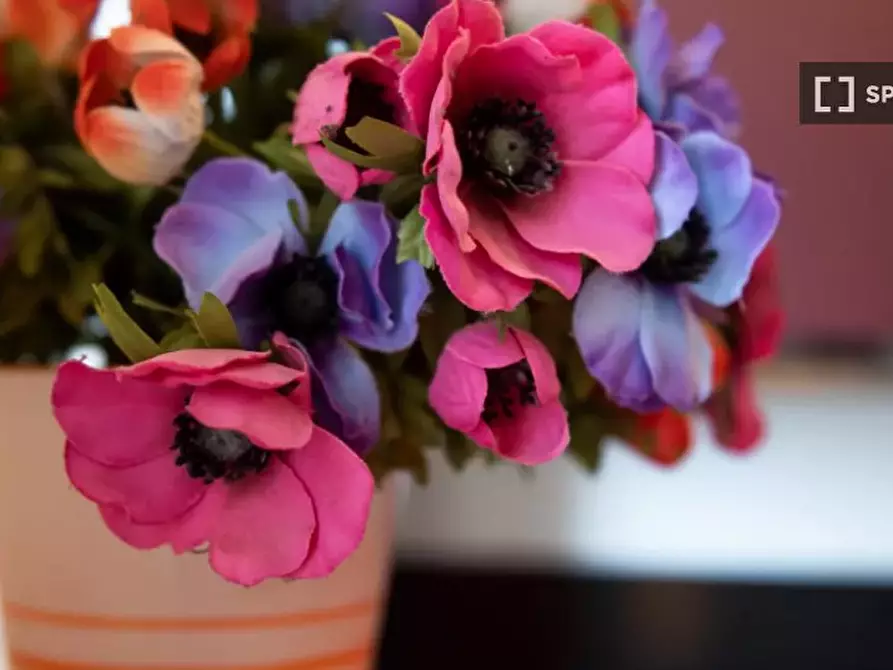 Immagine 8 di Ufficio in affitto  in Via Giovanni Pezzotti a Milano