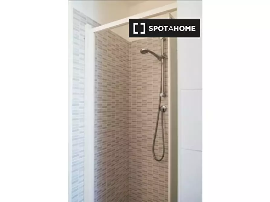 Immagine 13 di Camera condivisa in affitto  in Corso Massimo d'Azeglio a Torino