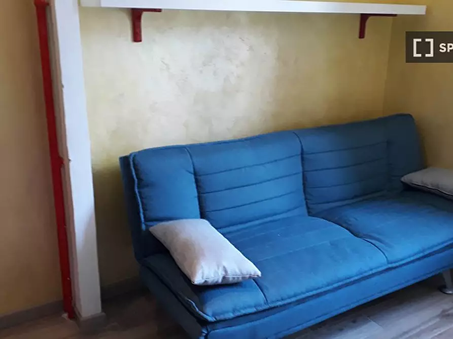 Immagine 10 di Camera condivisa in affitto  in Via Alessandro Cruto a Torino