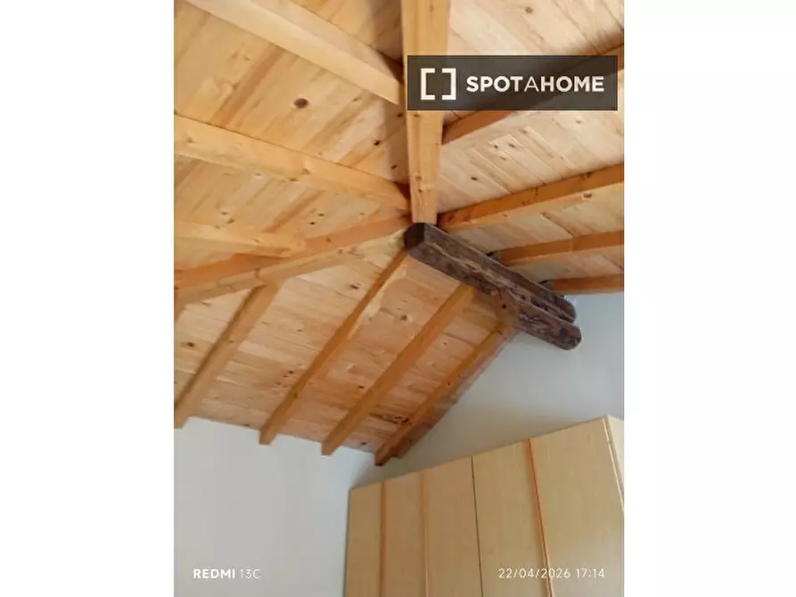 Immagine 2 di Camera condivisa in affitto  in Via Cristoforo Colombo a Bologna
