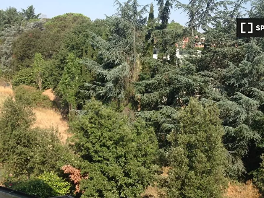 Immagine 11 di Camera condivisa in affitto  in Via Luigi Ploner a Roma