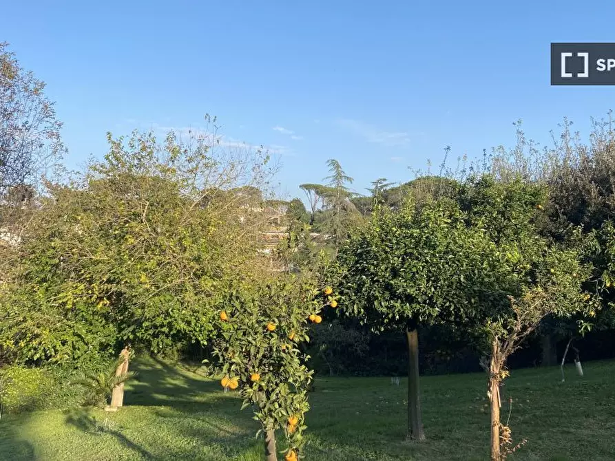 Immagine 18 di Camera condivisa in affitto  in Via Leonardo Fibonacci a Roma