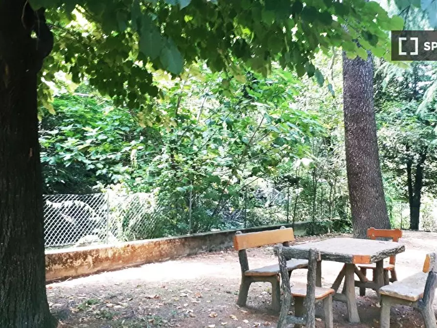 Immagine 11 di Camera condivisa in affitto  in De Giovanni a Bologna