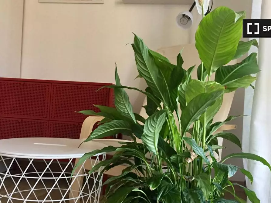 Immagine 4 di Camera condivisa in affitto  in Via Carlo Valvassori Peroni a Milano