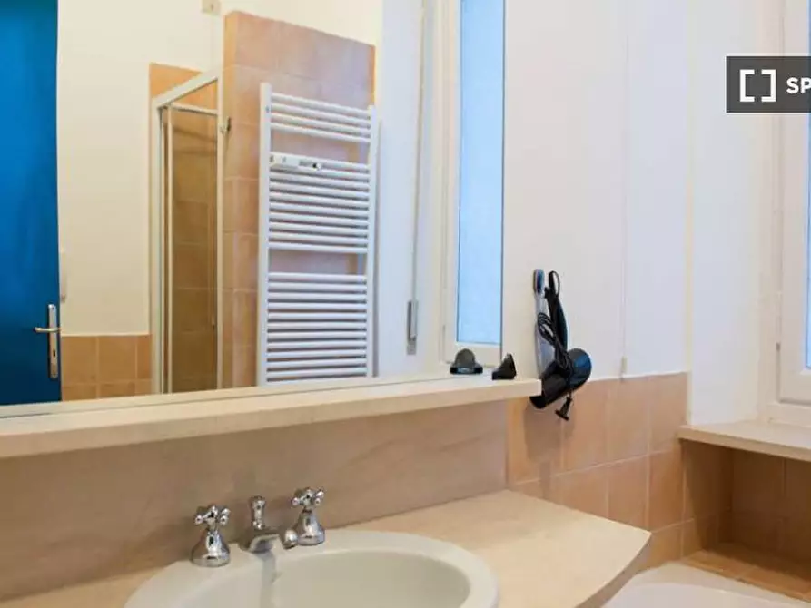 Immagine 13 di Camera condivisa in affitto  in Via Gian Domenico Cassini a Torino