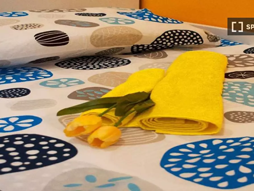 Immagine 3 di Camera condivisa in affitto  in Via Bassini a Milano