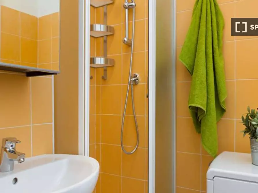 Immagine 16 di Camera condivisa in affitto  in Via Bartolomeo D'Alviano a Milano