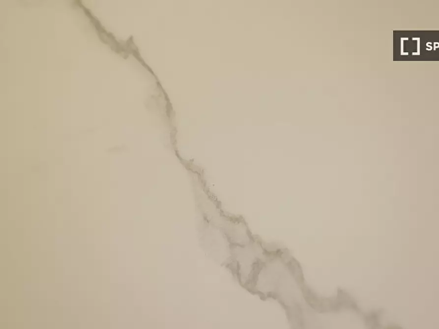 Immagine 9 di Ufficio in affitto  in Nicola a Milano