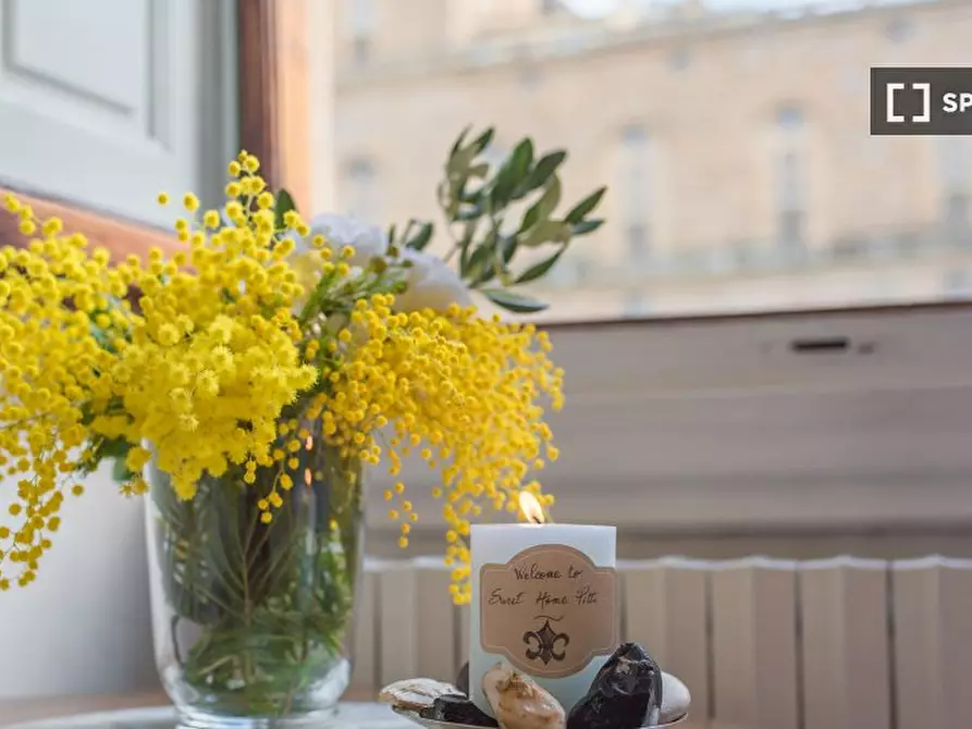 Immagine 15 di Appartamento in affitto  in Piazza de' Pitti a Firenze