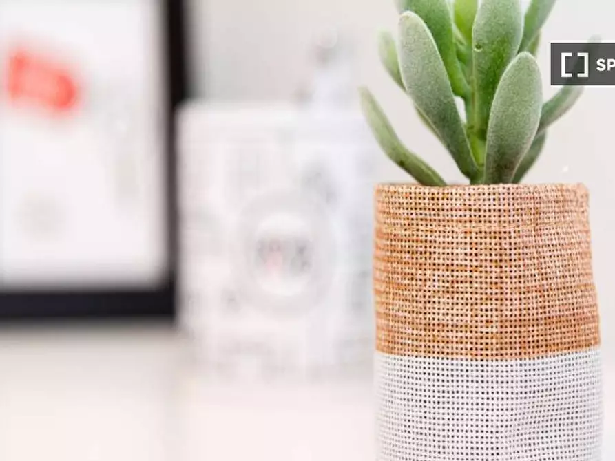 Immagine 8 di Camera condivisa in affitto  in Via Ferrante Aporti a Milano