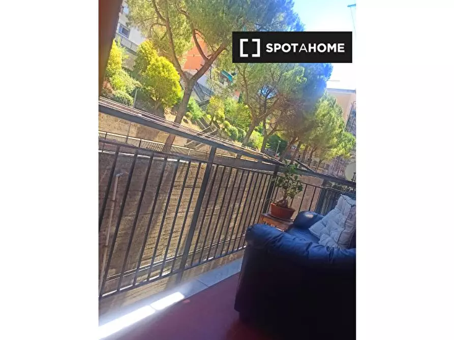 Immagine 18 di Camera condivisa in affitto  in Via Mogadiscio a Genova
