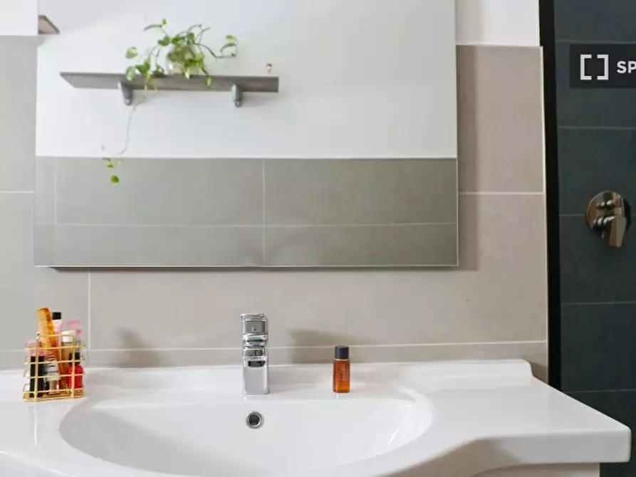 Immagine 12 di Appartamento in affitto  in Via John Fitzgerald Kennedy a Cologno Monzese