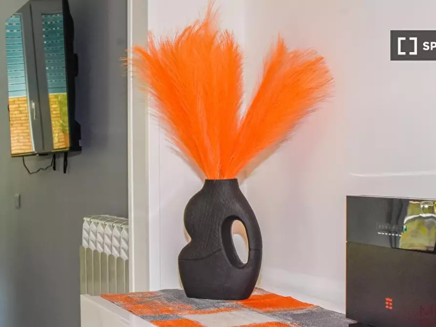 Immagine 19 di Appartamento in affitto  in Via Salvatore Pincherle a Roma