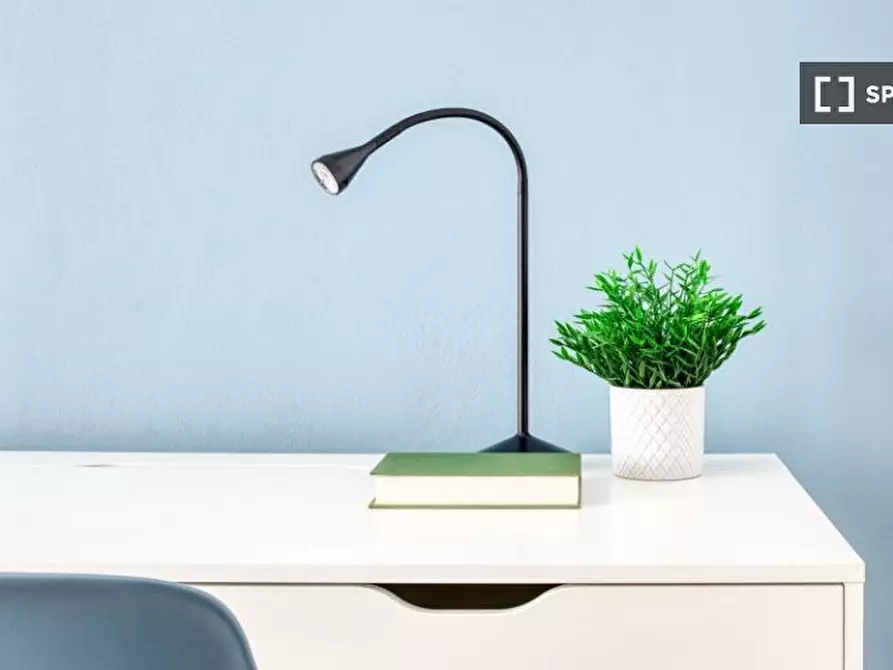 Immagine 5 di Camera condivisa in affitto  in Via Pellegrino Rossi a Milano