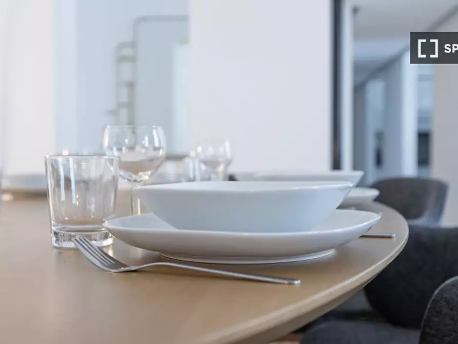 Immagine 16 di Appartamento in affitto  in Via Luigi Settembrini a Milano