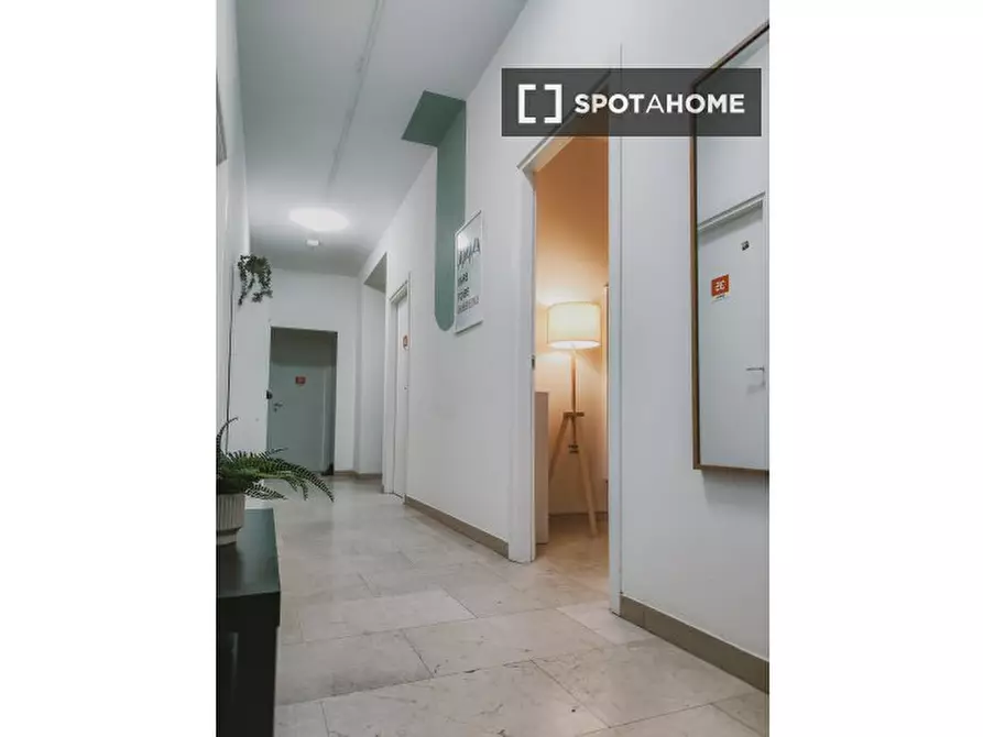 Immagine 19 di Camera condivisa in affitto  in Ciamician a Bologna