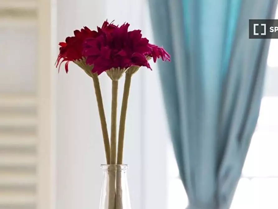 Immagine 18 di Camera condivisa in affitto  in Via Pellegrino Rossi a Milano