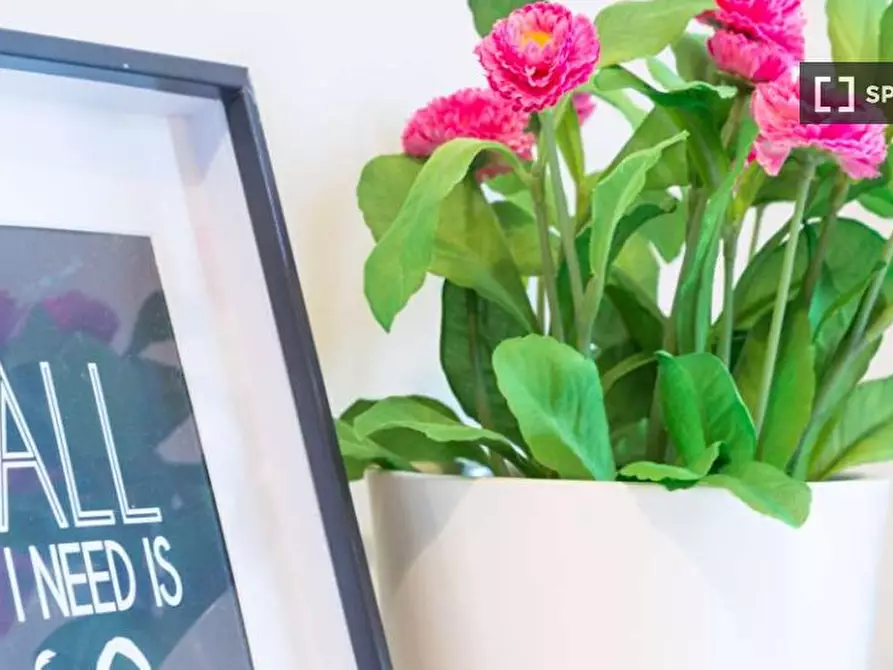 Immagine 8 di Camera condivisa in affitto  in Via Antonio Cecchi Milan a Milano