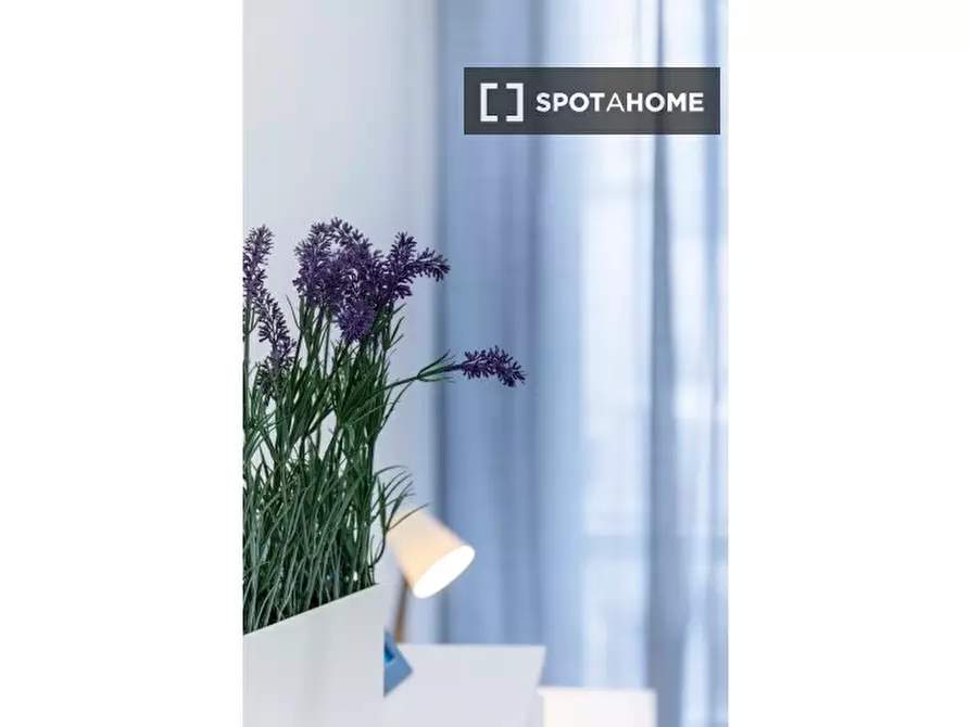 Immagine 11 di Camera condivisa in affitto  in Via Romolo Gessi a Torino