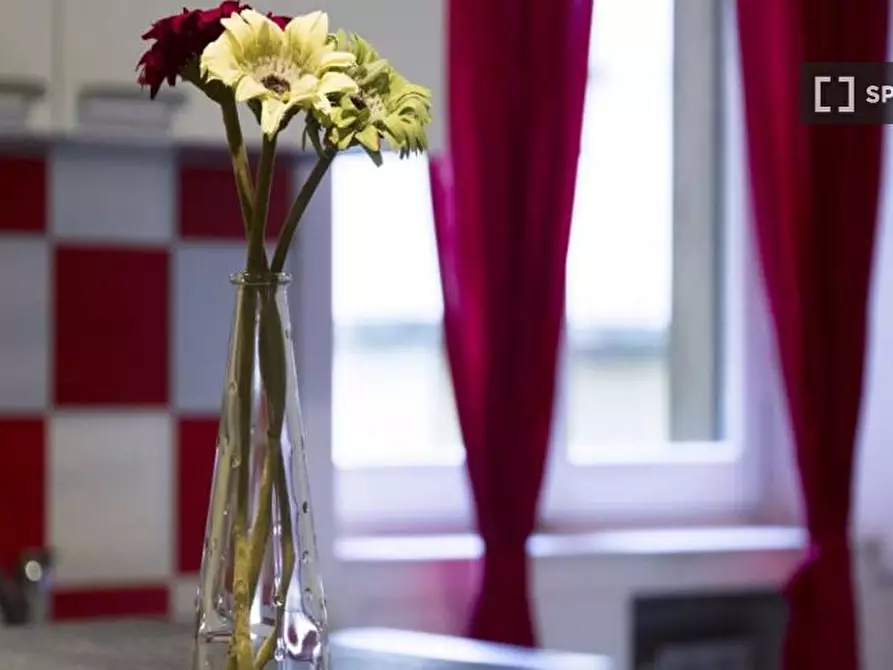 Immagine 19 di Camera condivisa in affitto  in Bastioni di Porta Volta a Milano